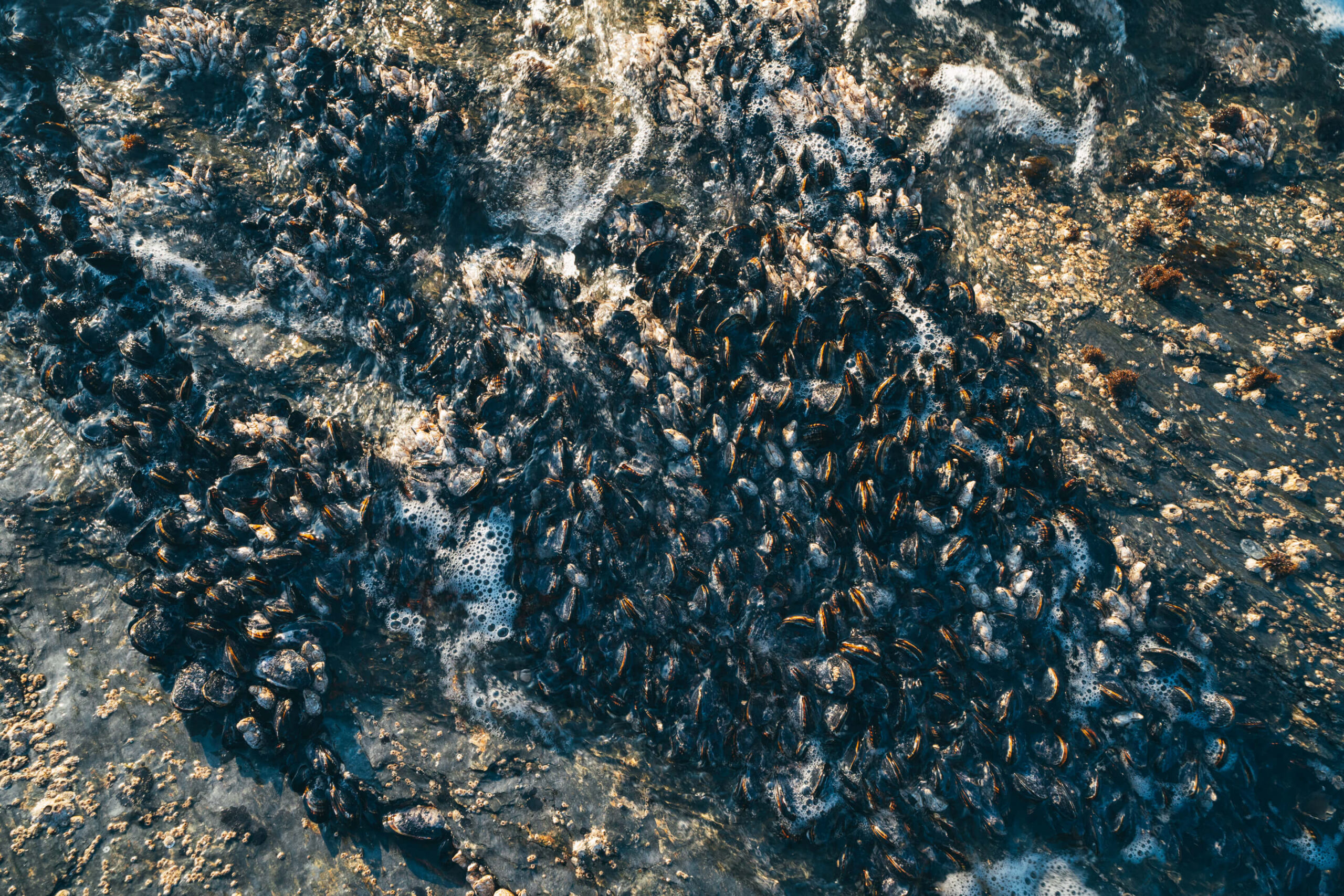 Botanical Beach near Sooke, BC
